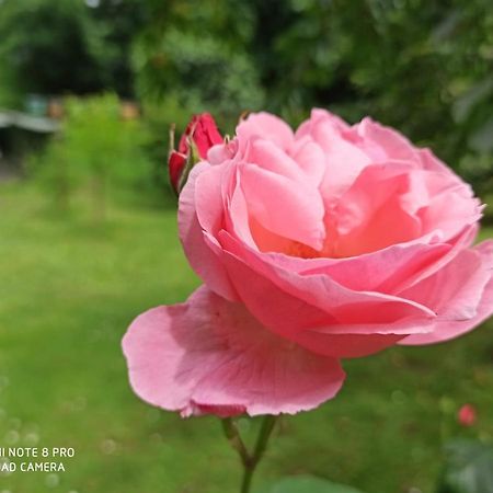 베르가모 Casa Bibi 빌라 외부 사진