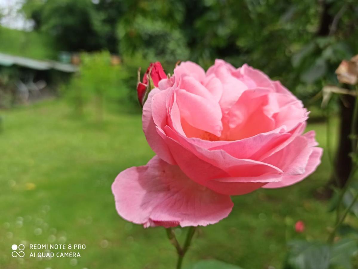베르가모 Casa Bibi 빌라 외부 사진